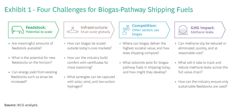 Biogas Preis Und Umweltaspekte