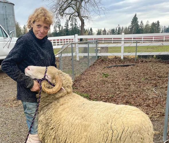 Kalkulation Der Einspeisevergütung Ewe