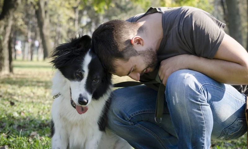 Häufig Gestellte Fragen Zur Hundehaftpflichtversicherung In Bayern