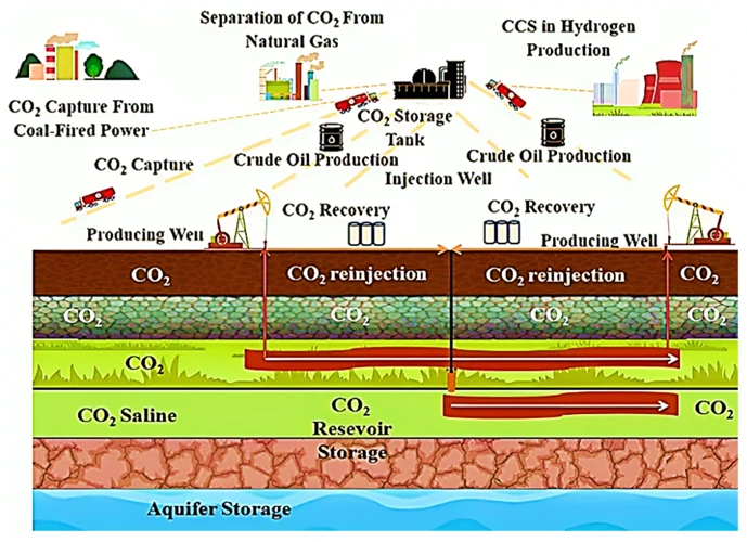 Gründe Für Die Einführung Der Co2-Steuer Auf Holz