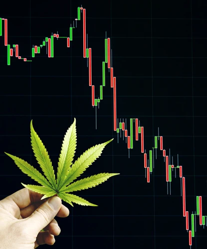 Risiken Von Cannabis Etfs