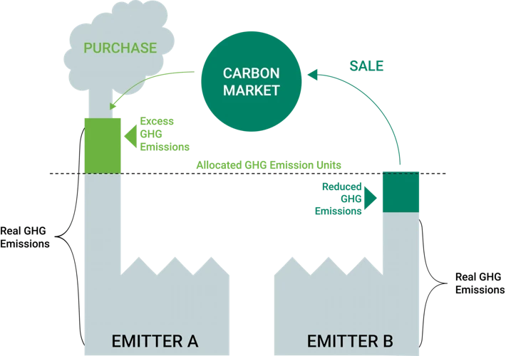 Die Auswirkungen Der Co2-Steuer Auf Den Holzmarkt