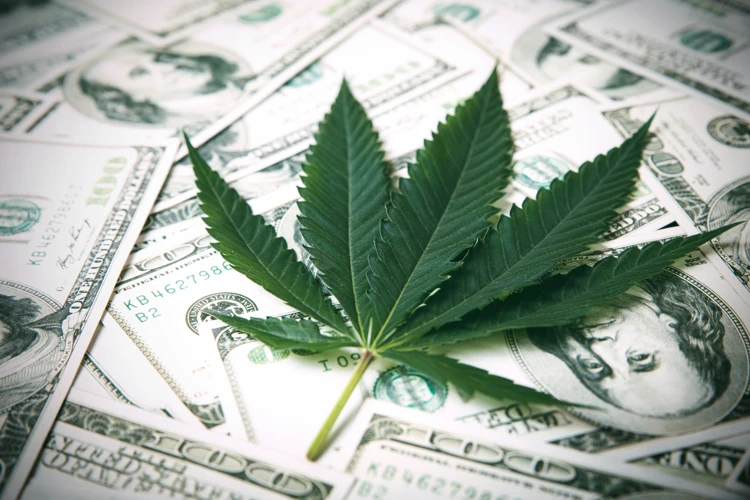 Was Sind Cannabis Etfs?